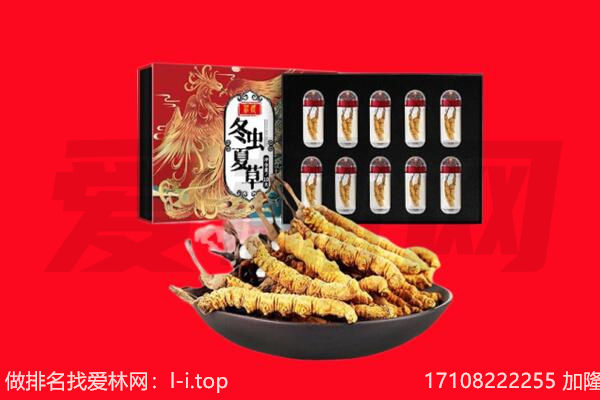 云城区回收虫草.jpg